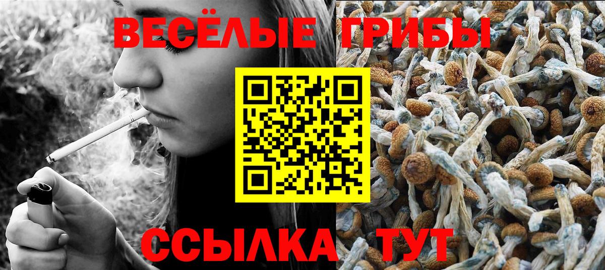 Галлюциногенные грибы Magic Shrooms  Галлюциногенные грибы мухоморы  Шахты  Вход с VPN 