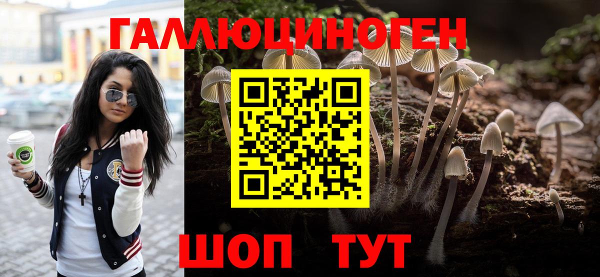 Галлюциногенные грибы Magic Shrooms Шахты